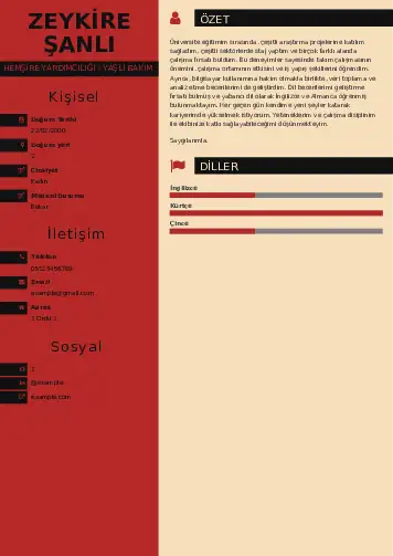 Hasta ve Yaşlı Bakım Elemanı Cv Örnekleri cv indir